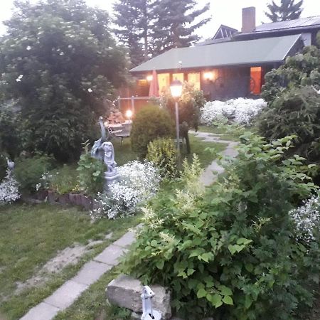 Willa Ferienhaus Schulenberg Friedrichsbrunn Zewnętrze zdjęcie