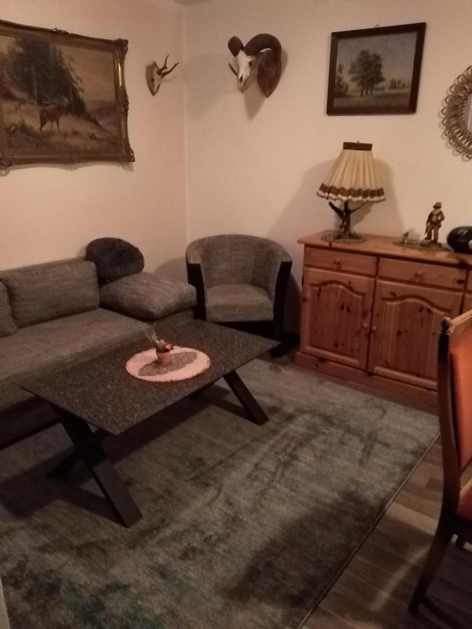 Willa Ferienhaus Schulenberg Friedrichsbrunn Zewnętrze zdjęcie