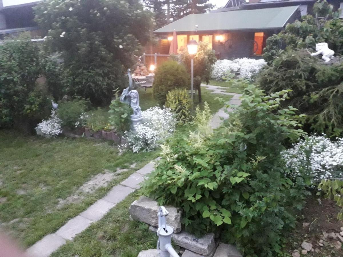 Willa Ferienhaus Schulenberg Friedrichsbrunn Zewnętrze zdjęcie