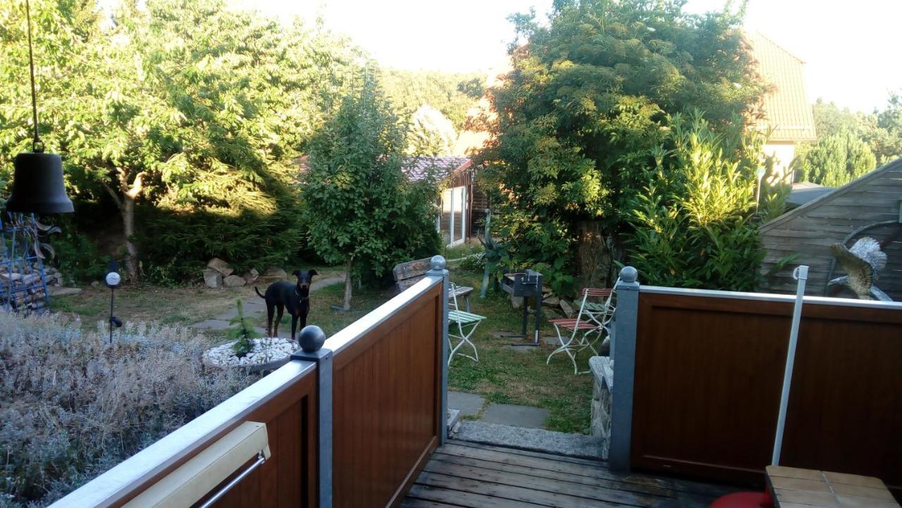 Willa Ferienhaus Schulenberg Friedrichsbrunn Zewnętrze zdjęcie